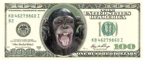 dollar-monkey