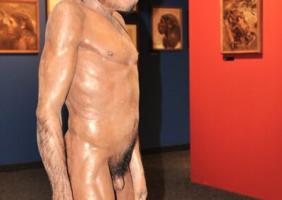 Australopithecus sediba