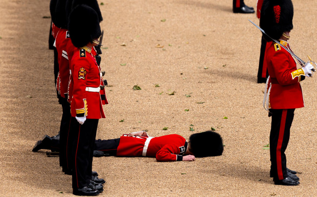 fallen-grenadier