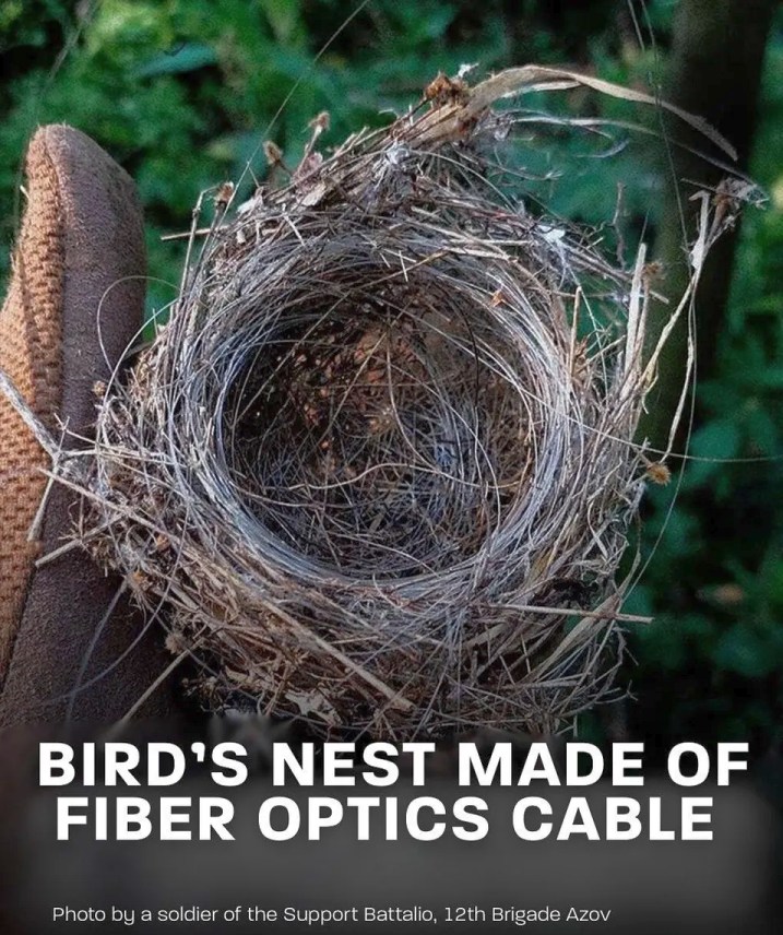 fiber-nest-ua