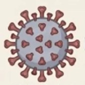 virus-covid